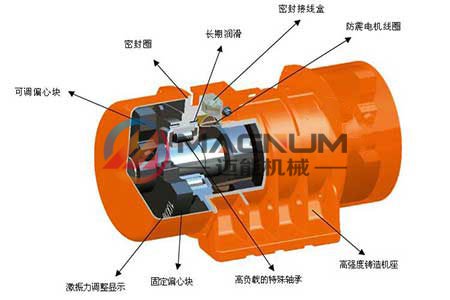 振動篩電機結(jié)構(gòu)圖 振動篩電機結(jié)構(gòu)圖